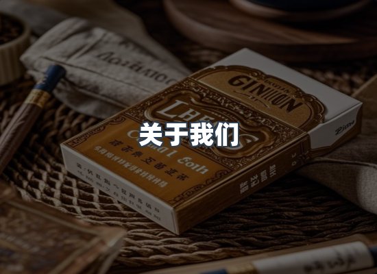 关于我们